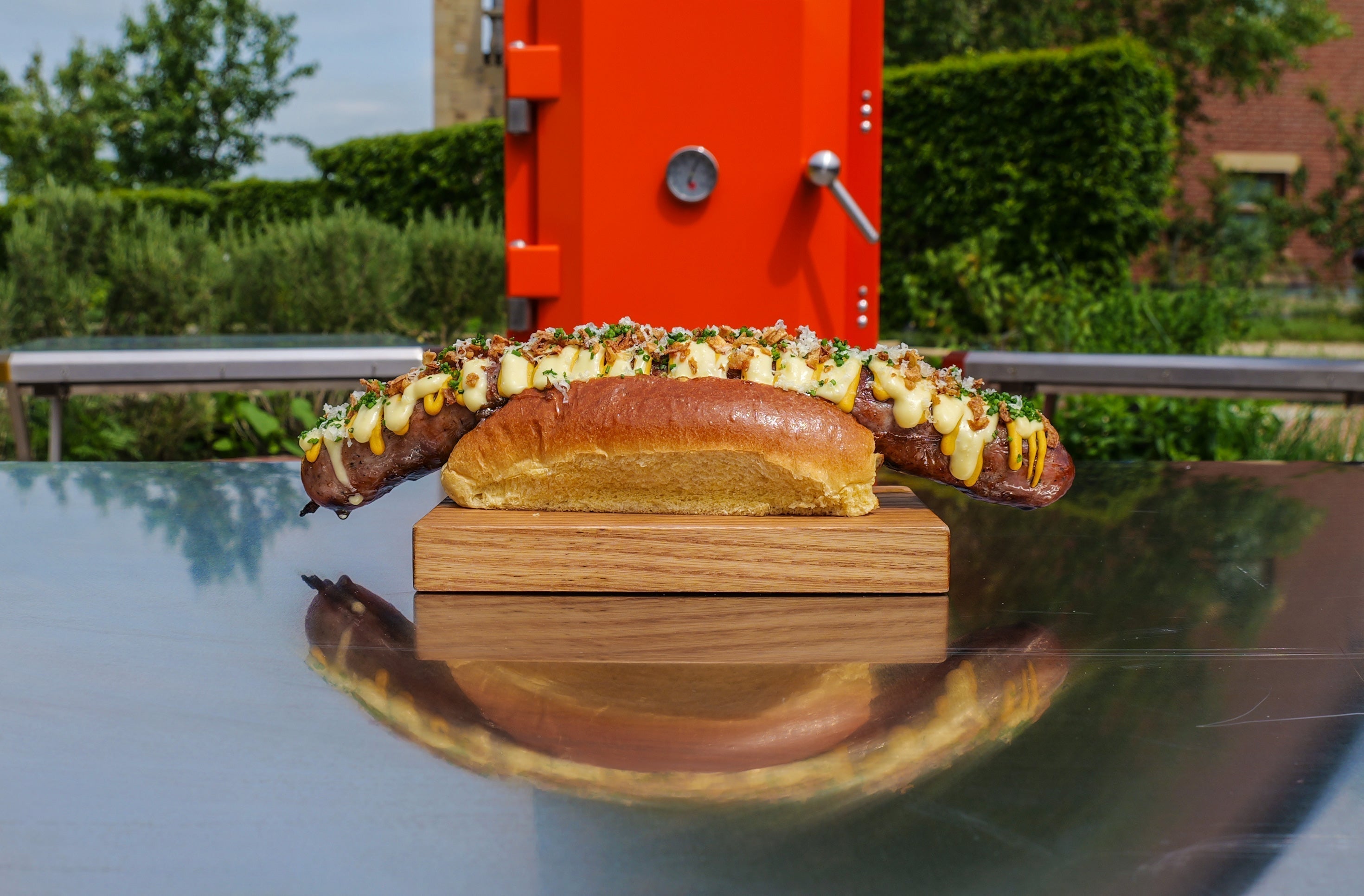 Lisa Goodwin-Allen's Mega Lancashire Dog