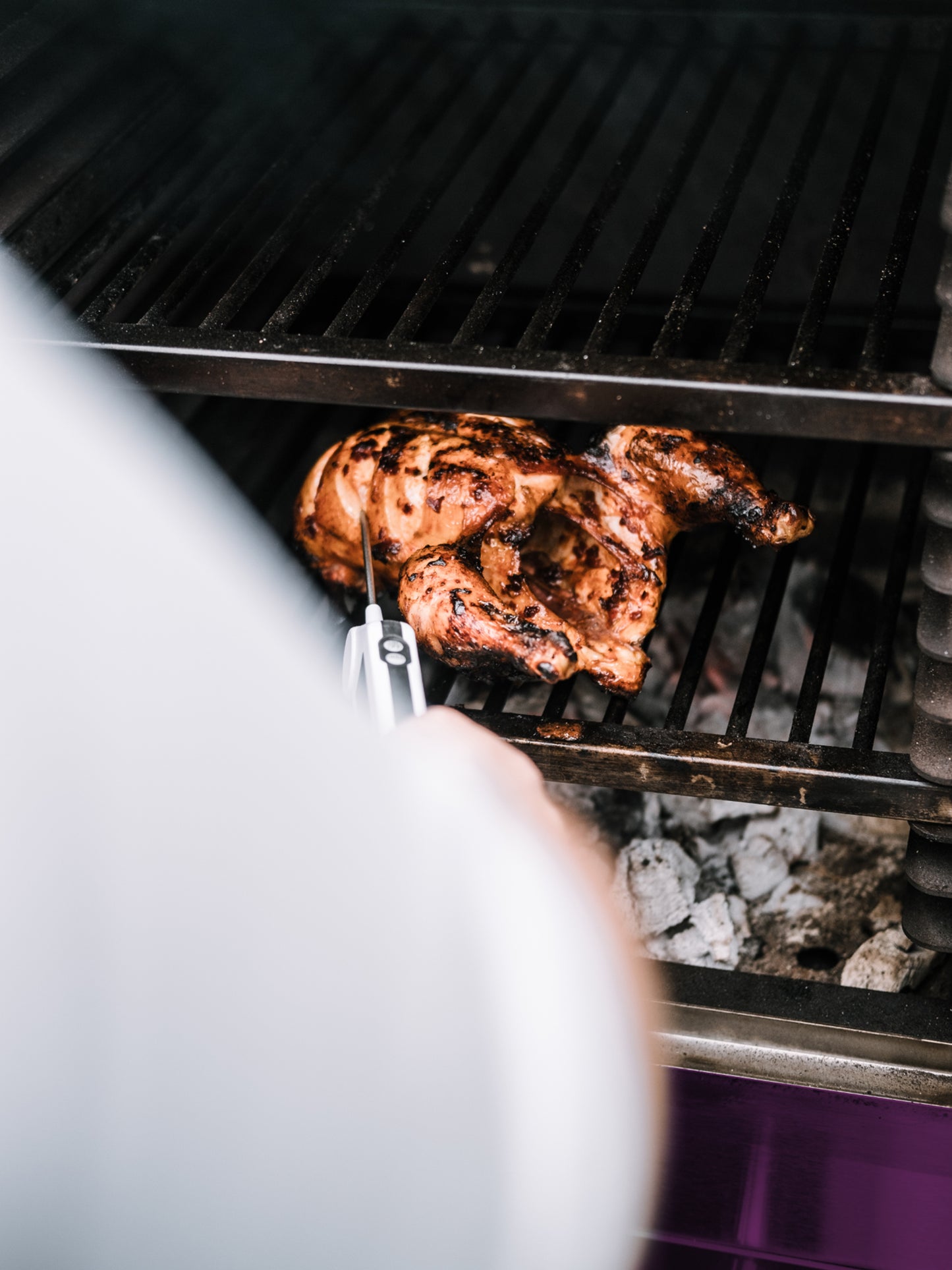 Bertha Original Charcoal Oven